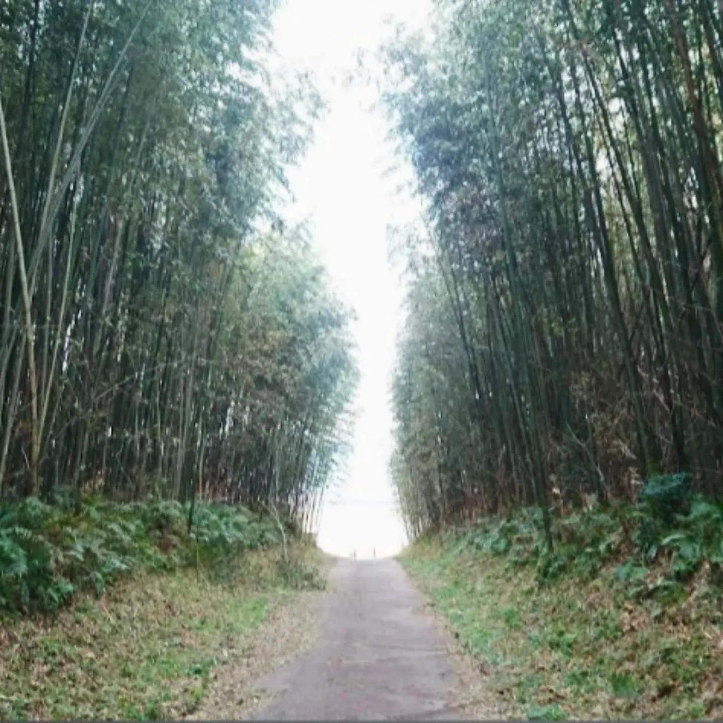 吉野川市の魅力 vol.1