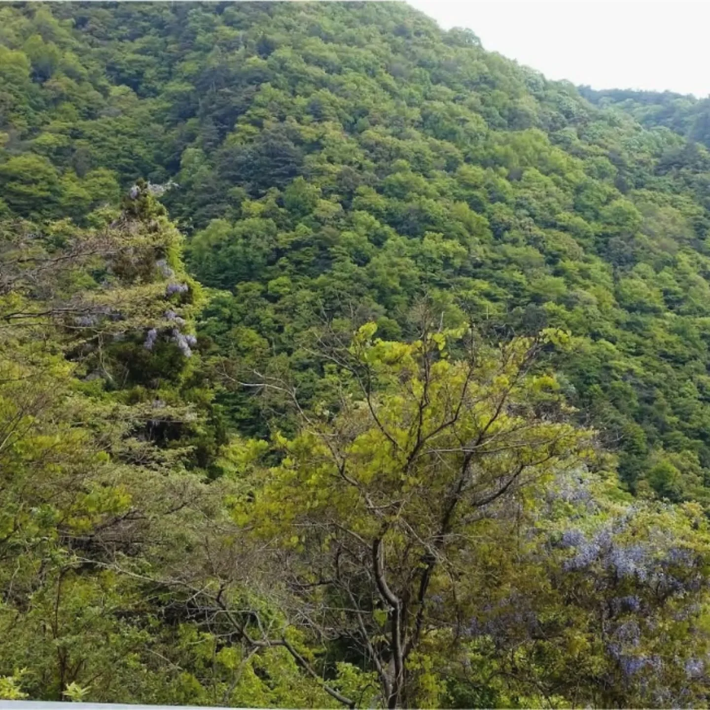 吉野川市の魅力 vol.1