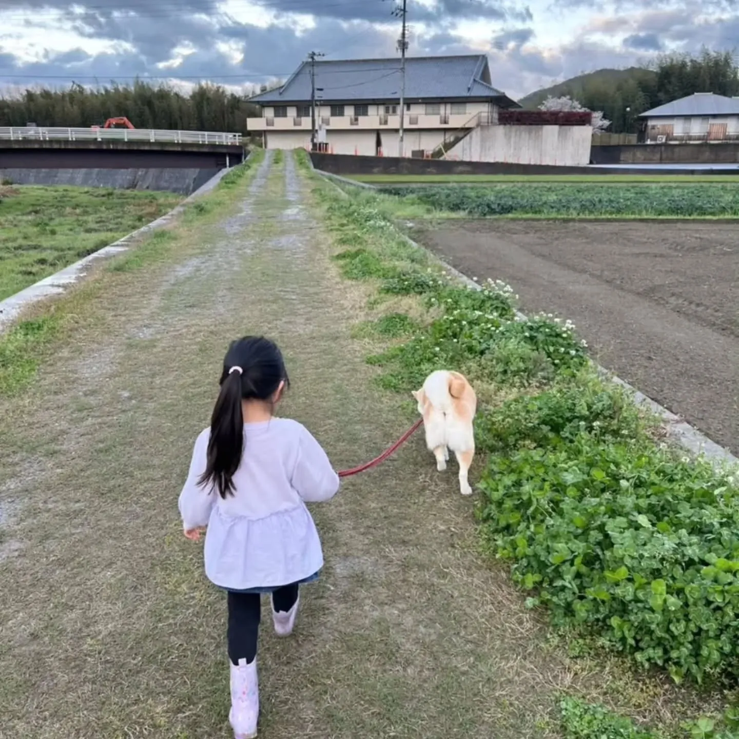 吉野川市の魅力 vol.2💁