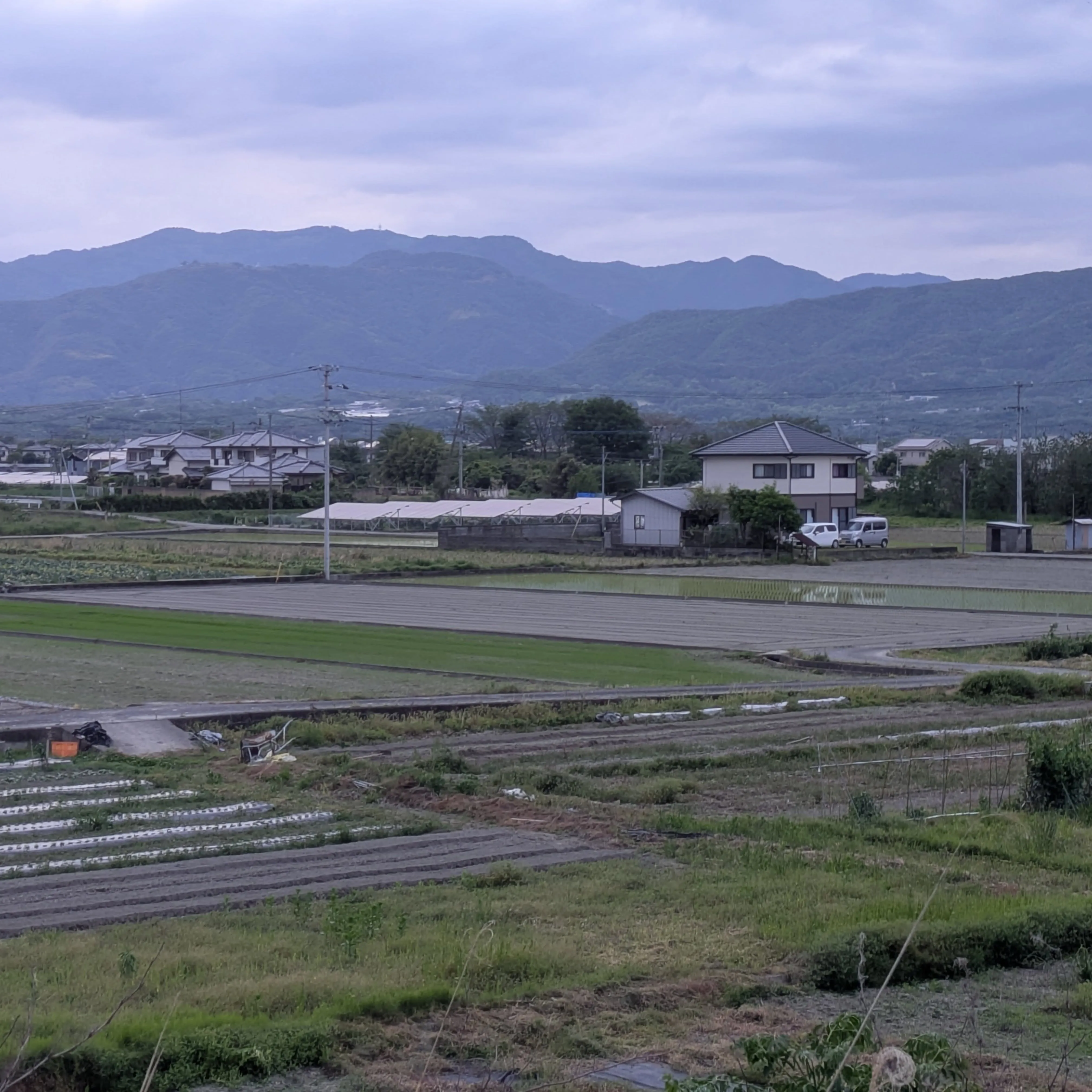 吉野川市の魅力 vol.2💁