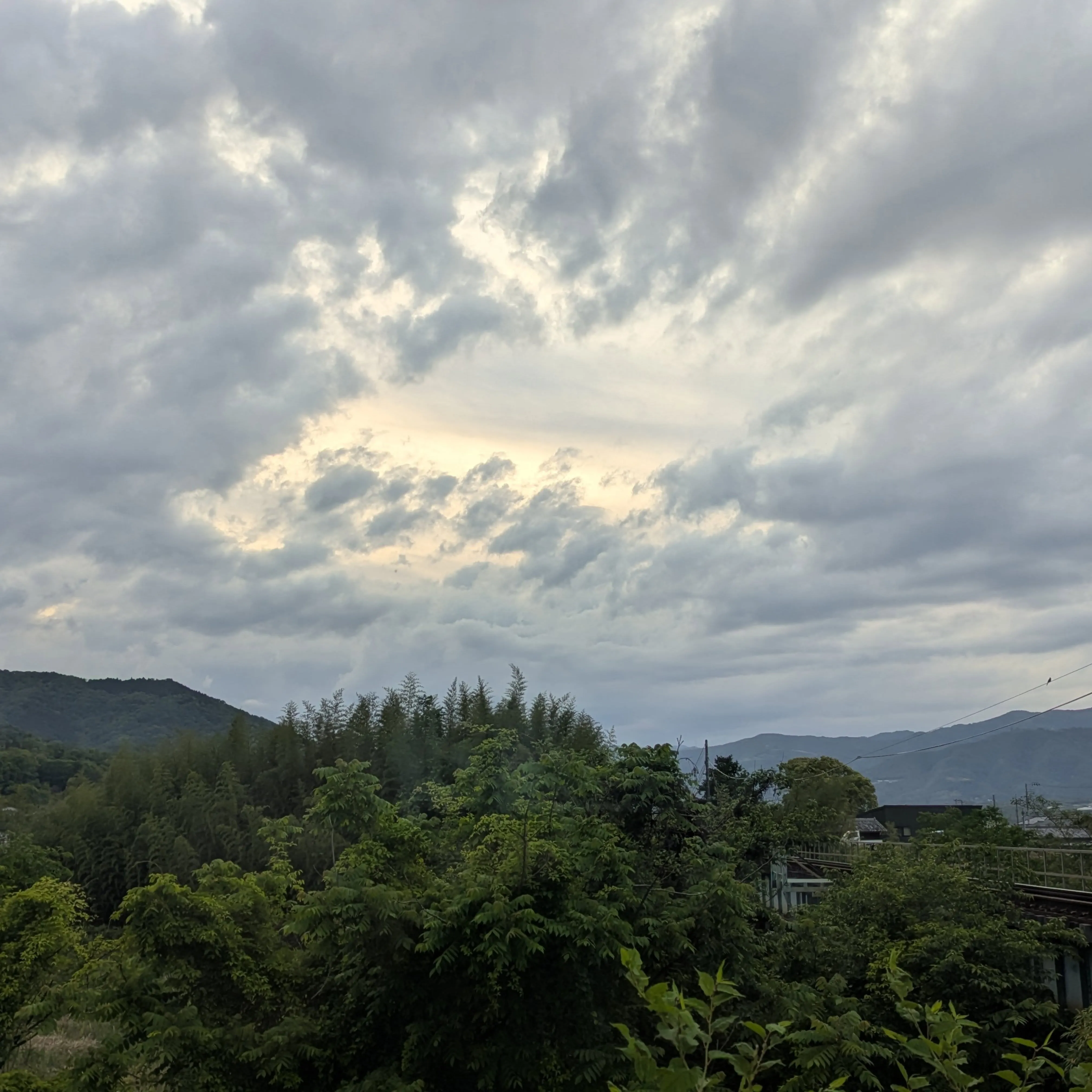 吉野川市の魅力 vol.2💁